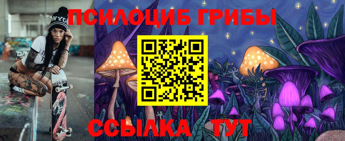 Егорьевск  как найти закладки  Вход с VPN  Псилоцибиновые грибы GOLDEN TEACHER 