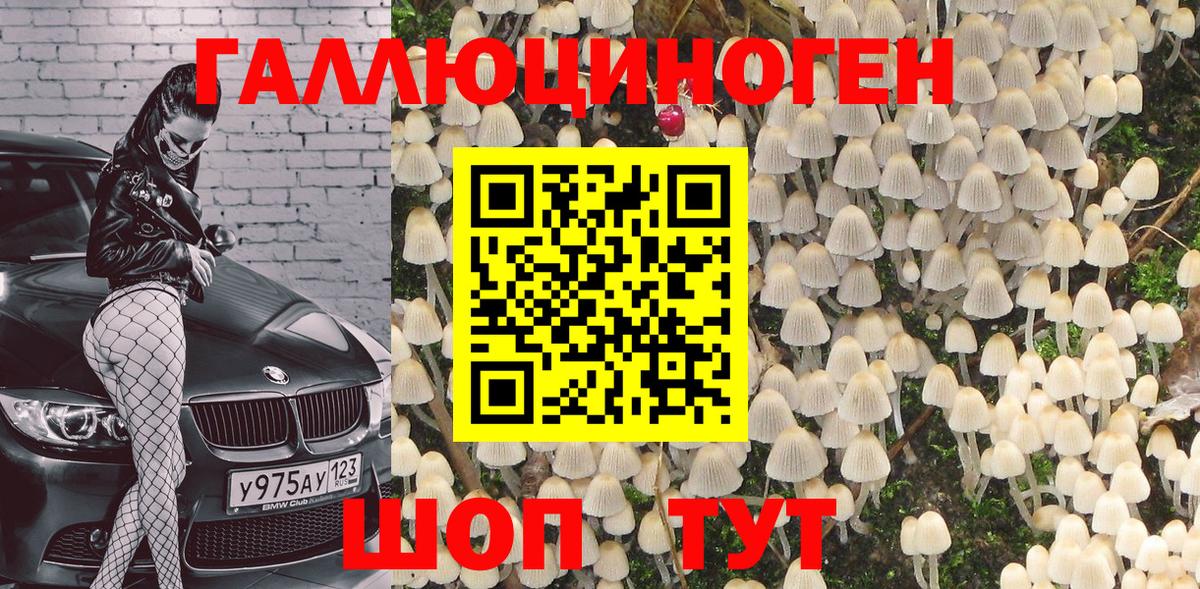 Псилоцибиновые грибы MAGIC MUSHROOMS Егорьевск